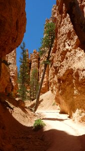 America bryce national park rock formation photo