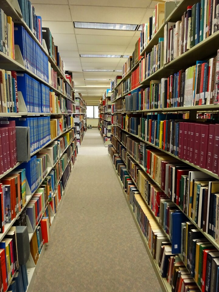 School education university