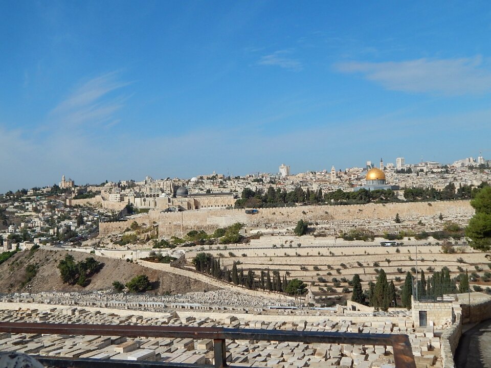 Mount olives palm sunday