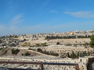 Mount olives palm sunday