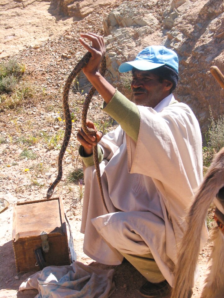 Snake charmer snake djellaba