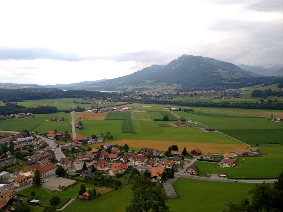 Mountain field nature