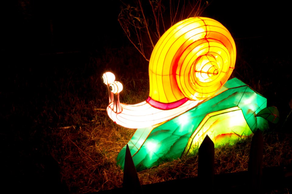 Lantern festival night view Free photos