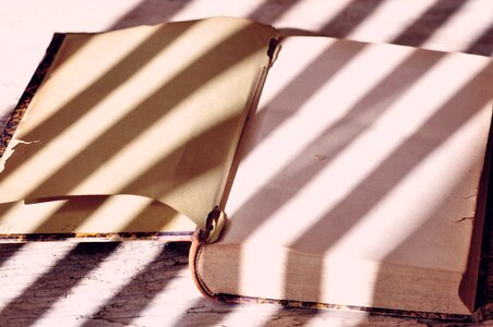 Book pages empty pages sunlight