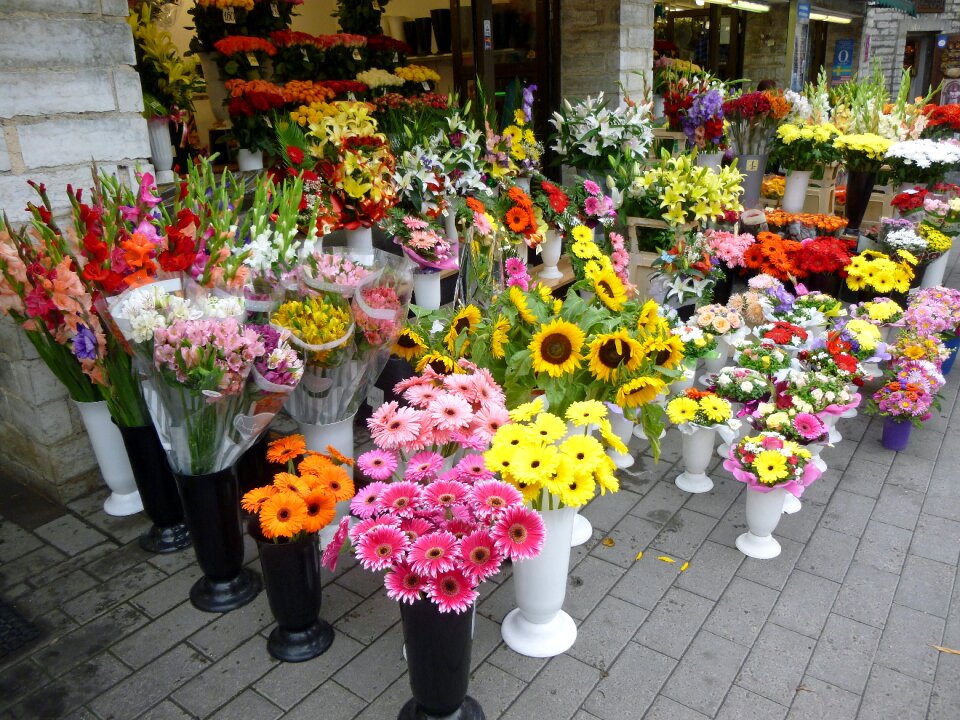 Colorful summer flowers bouquets