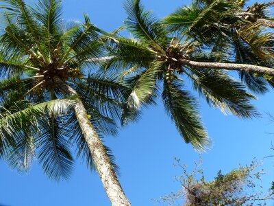 Ubatuba são paulo brazil