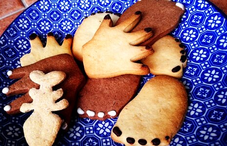 Backed biscuit