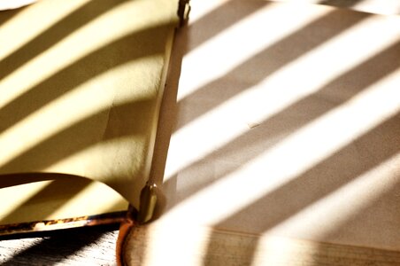 Book pages empty pages sunlight