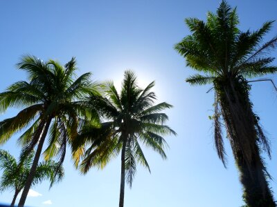 Ubatuba são paulo brazil