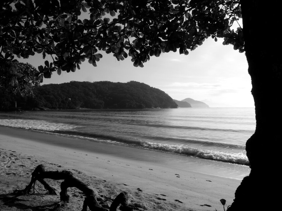 Litoral landscape vista