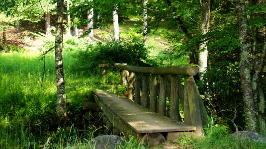 Wilderness virginia wooden photo