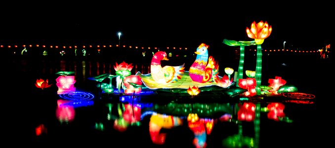 Lantern festival night view Free photos