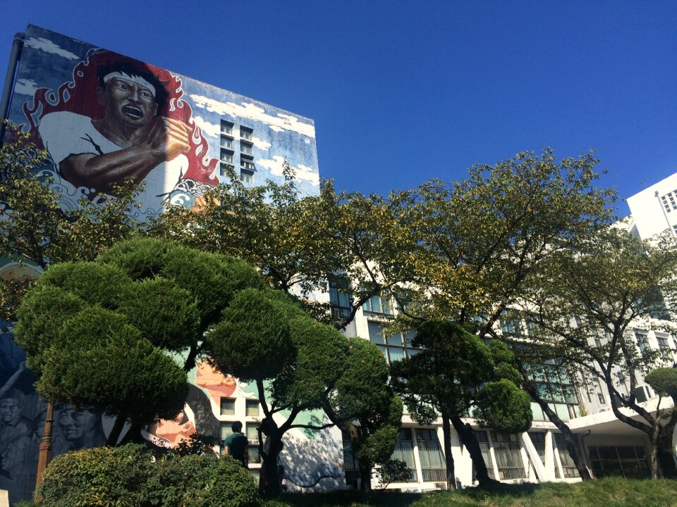 Kyunghee university university college
