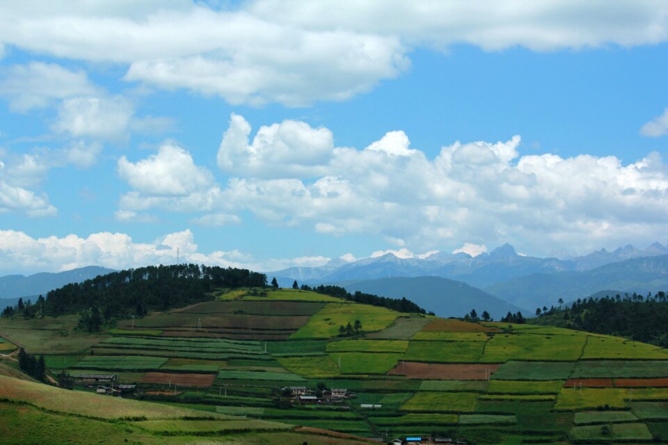 Field nature landscape photo