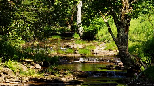 West virginia nature