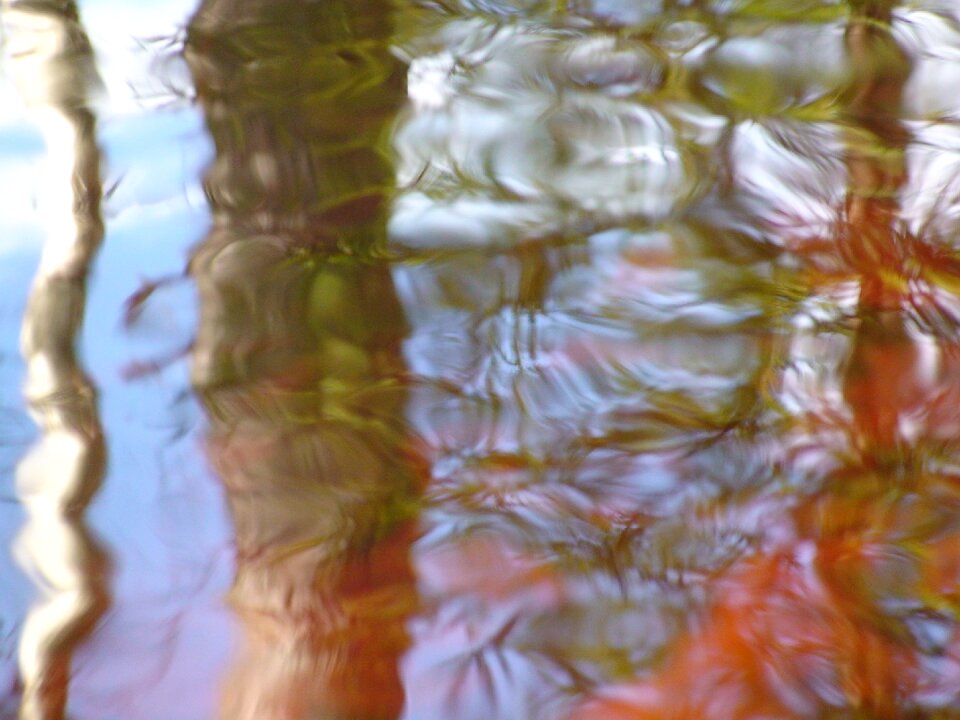 Water water surface reflexion