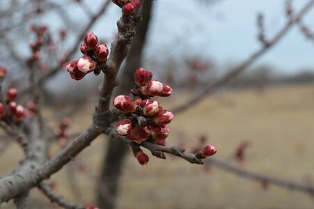 Views landscape spring