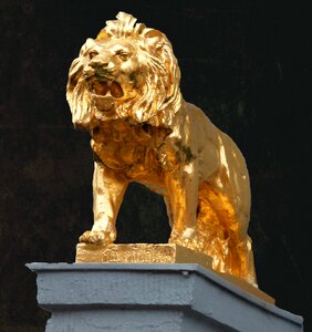Golden lion statue decoration photo