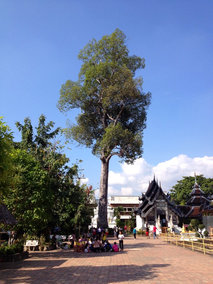 Architecture stupa chiangmai