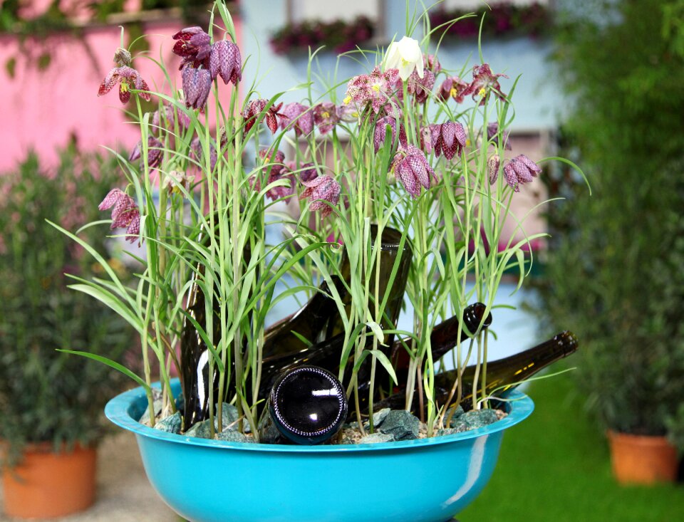 Decoration flower bowl bottles
