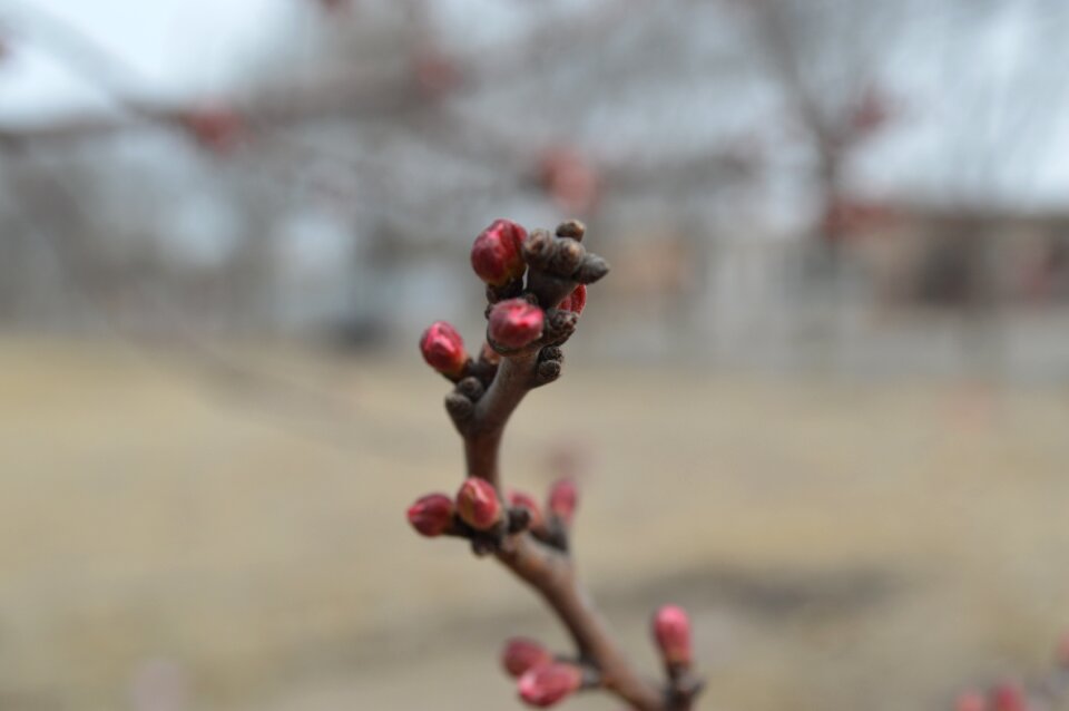 Views landscape spring
