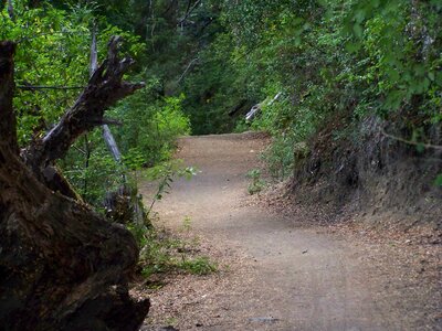 Outdoors way alone