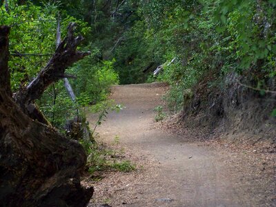 Outdoors way alone photo