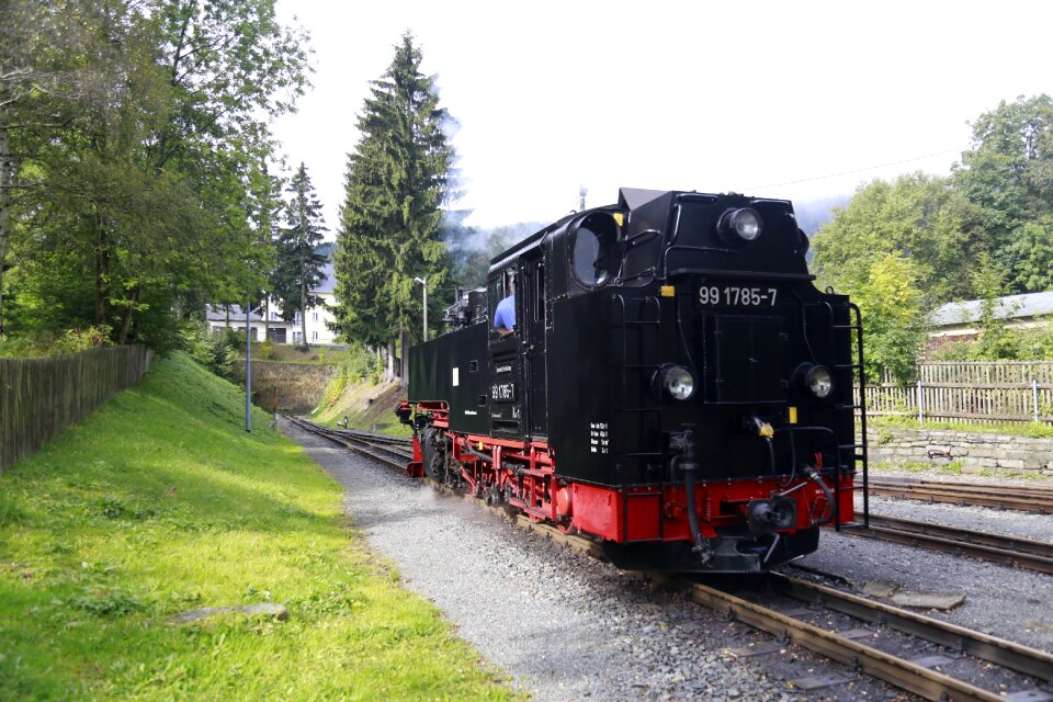 Locomotive forest narrow-gauge railway
