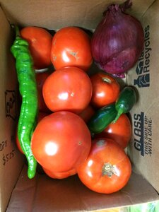 Salsa vegetables cooking