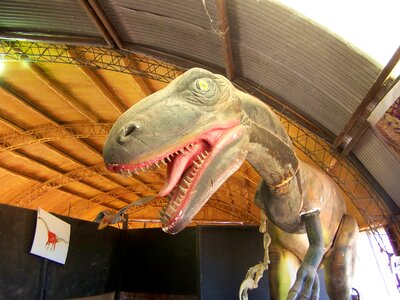 Rex brown dinosaur