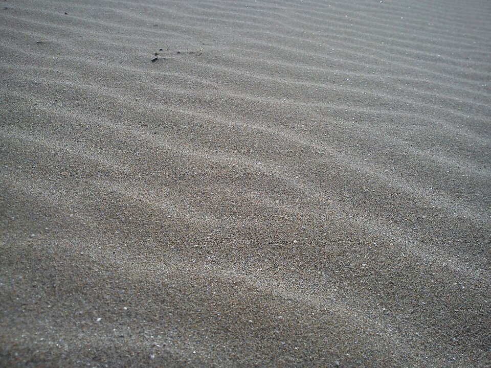 Dry beach sand beach photo