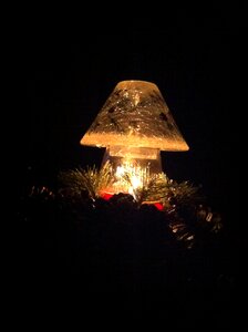 Burn illuminated tranquil