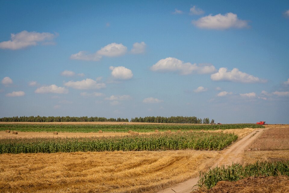 Landscape summer combine