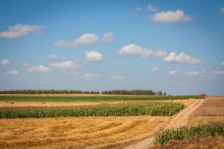 Landscape summer combine
