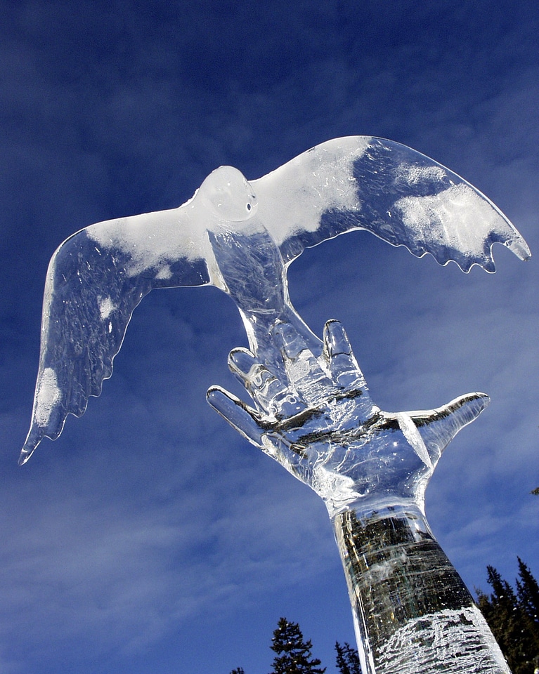 Alberta canada winter