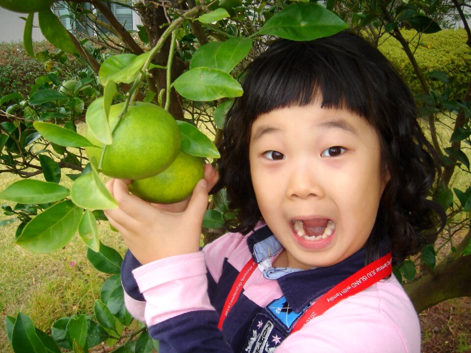 Surprise citrus orange girl