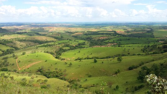 Hill horizon vegetation