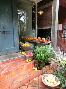 Fruit shop