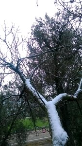 Winter cold nevada