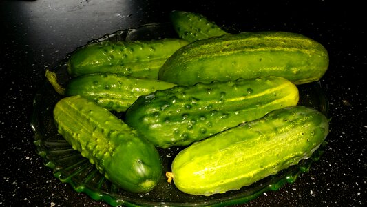 Västerås vegetable summer