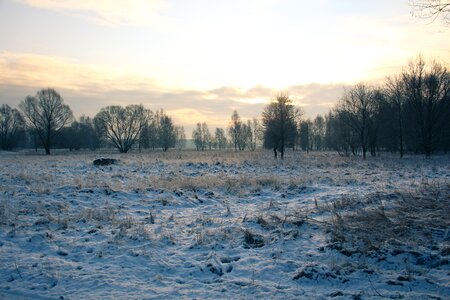 Landscape snow cold