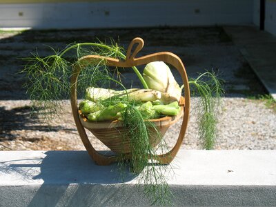 Friuli garden sociale