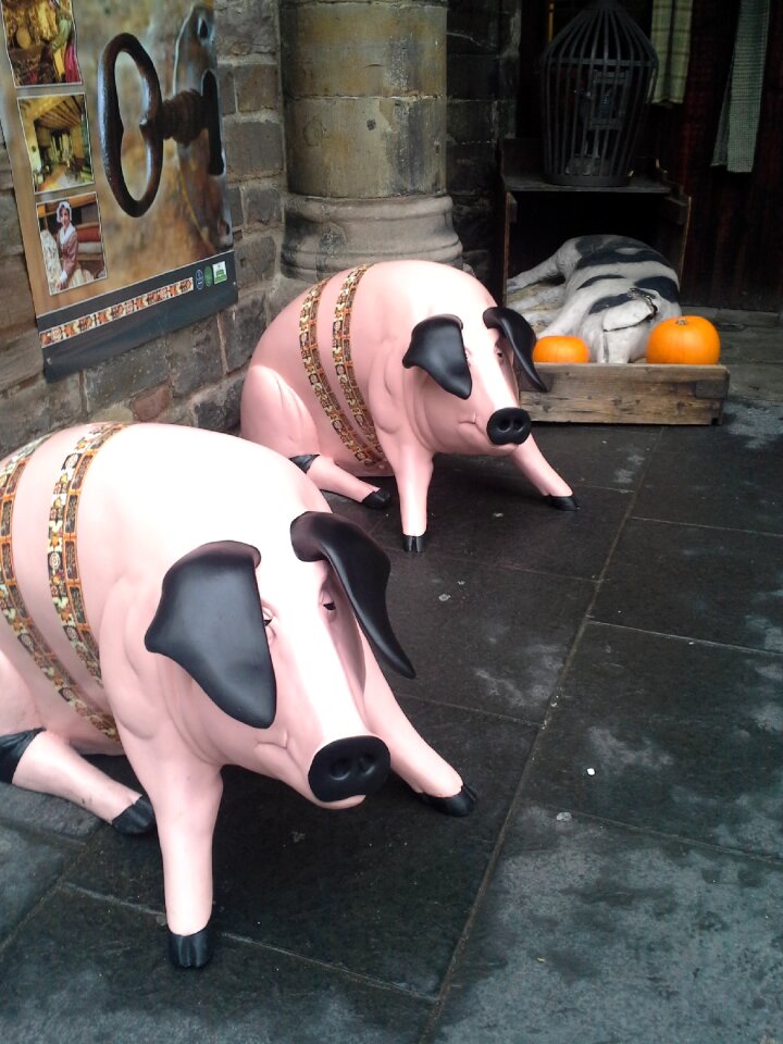 Pig statue halloween