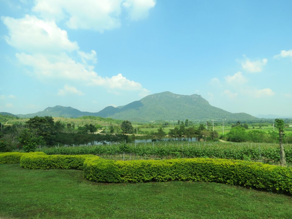 Travel agriculture
