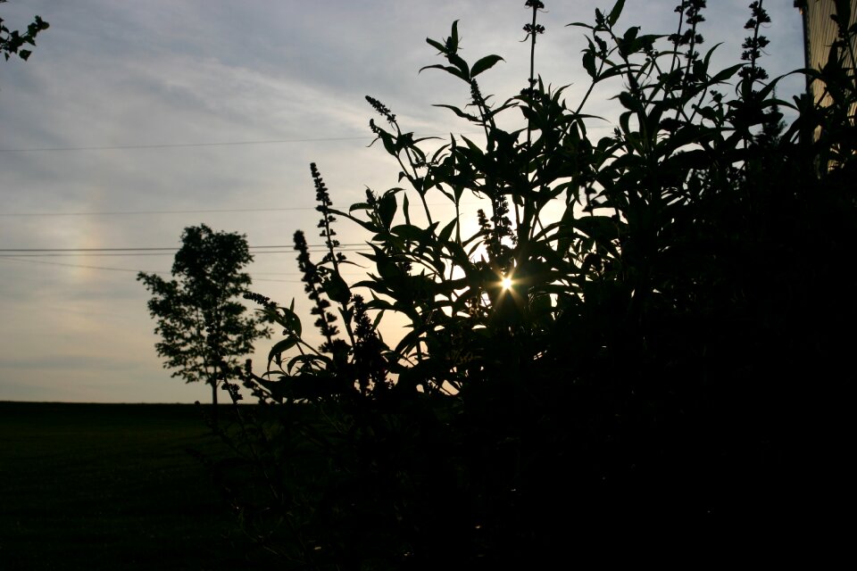 Sky summer