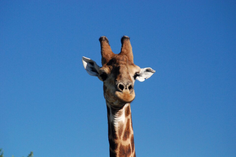 Blue sky africa portrait