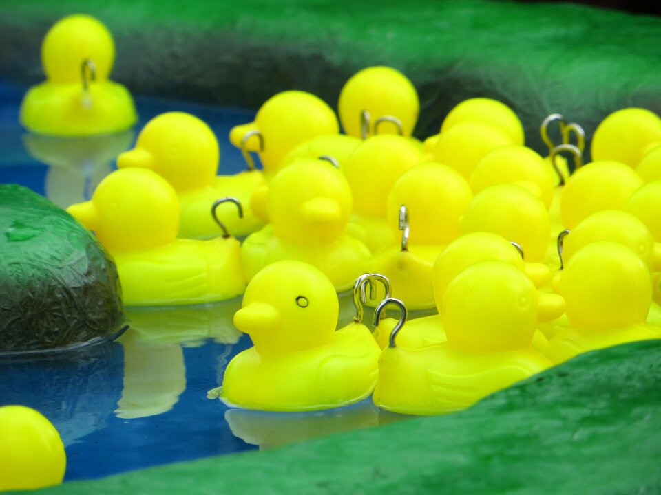 Duck plastic carnival