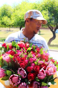 Bouquet of roses red pink photo