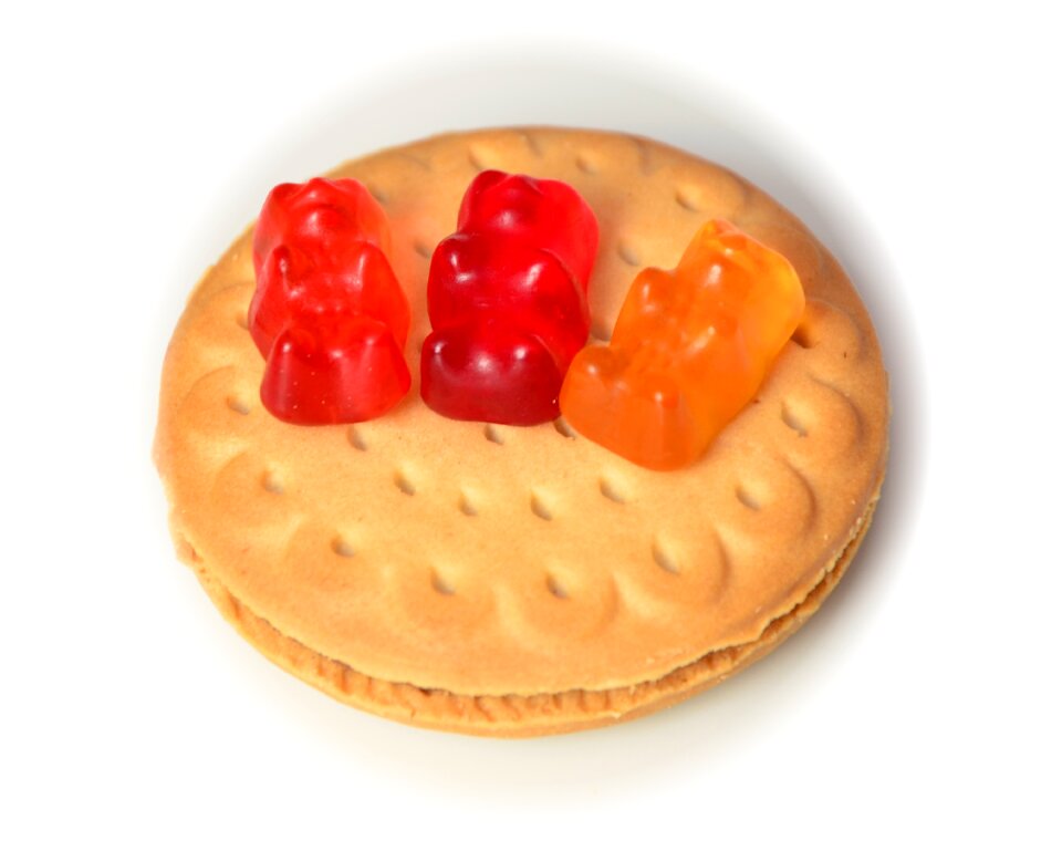 Nibble gummi bears bears