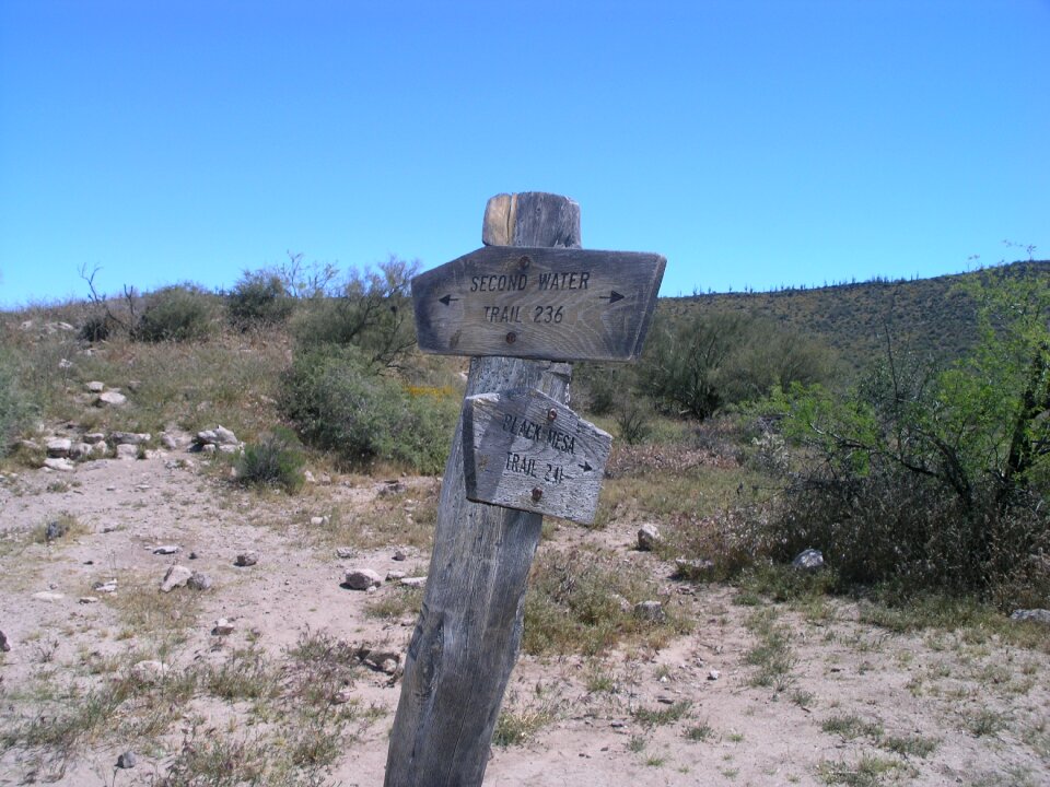 Arizona landscape